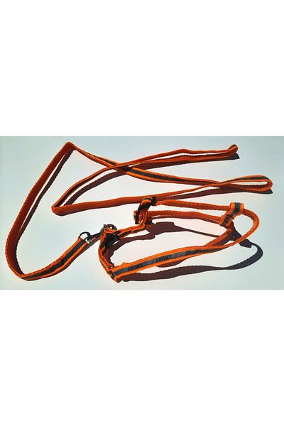 AMORE Reflective Sport Shoulder and Walking Set Dog Collar Small
