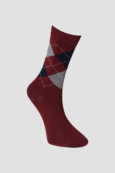 ALTINYILDIZ CLASSICS Claret Red Bamboo Men's Socks