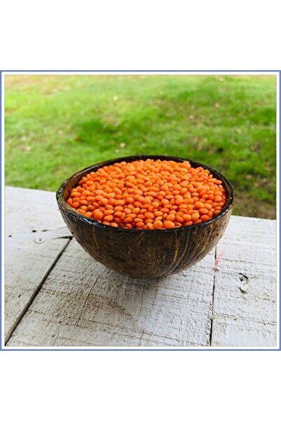 Kırmızı Köy Mercimeği (1000 GR.)