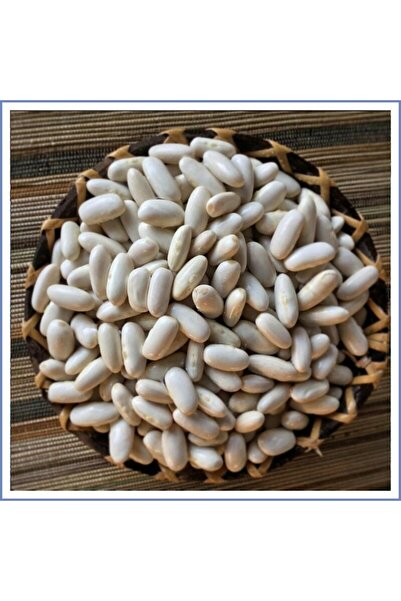 Sade Aile Kuru Fasulye Atalık Tohum (1000 GR.)