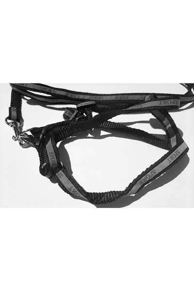 AMORE Reflective Sport Shoulder and Walking Set Dog Collar Small