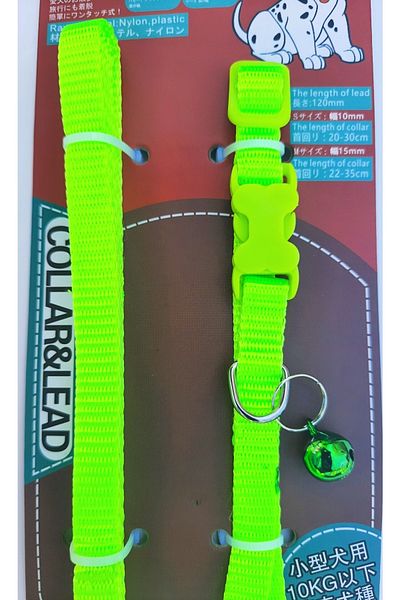 AMORE Yababy Neck and Walking Set Dog Collar Small