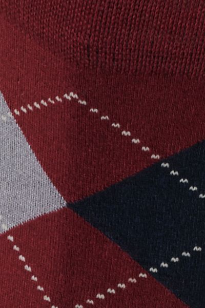 ALTINYILDIZ CLASSICS Claret Red Bamboo Men's Socks