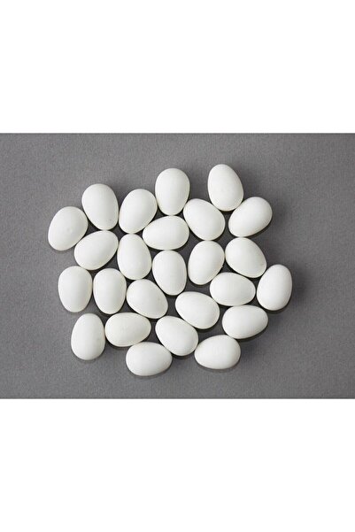 Lets Get Pet Mudanya 10 Adet Sahte Muhabbet Kuşu Yumurtası Küçük Plastik