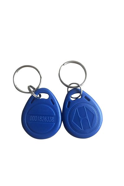 Electrimax Magnetic Keychain -50 Pieces Rfid Keyfob Indicator Keychain 125 Khz Proximity