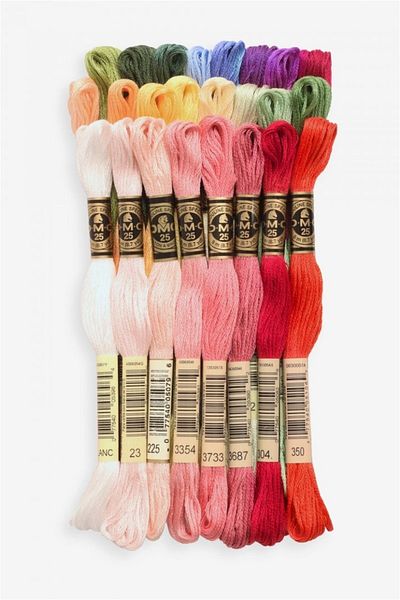 Dmc Set of 24 Muline Embroidery Threads in Floral Colors