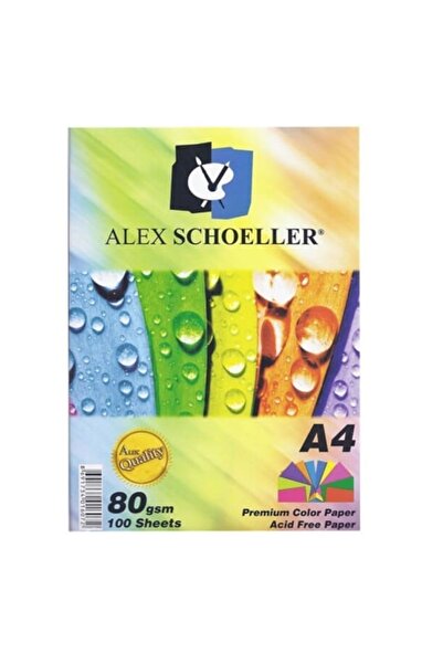 Alex Schoeller ورق نسخ A4 ملون من Alex - 80 جرام. 10 ألوان متنوعة 100 قطعة