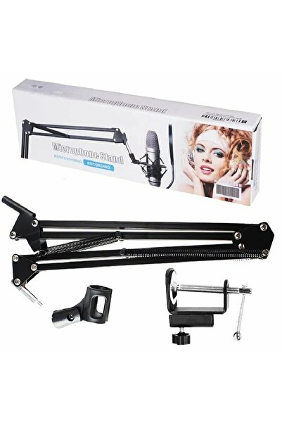 Zerx Bm800 Profesyonel Stüdyo Youtuber Kayıt Mikrofonu Stand