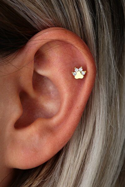 Vilma Aksesuar Cerrahi Çelik Kedi-köpek Patisi Helix Piercing Gold Renk (8mm)