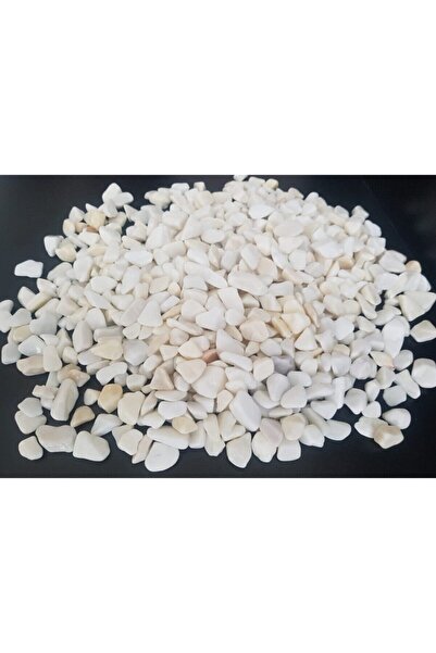 Genel Markalar Beyaz Taş 2 Kg 1-2 Cm Beyaz Dolomit Taş Dere Taşı Çakıl Taşı Bahçe Süs Taşı Akvaryum Teraryum Taşı