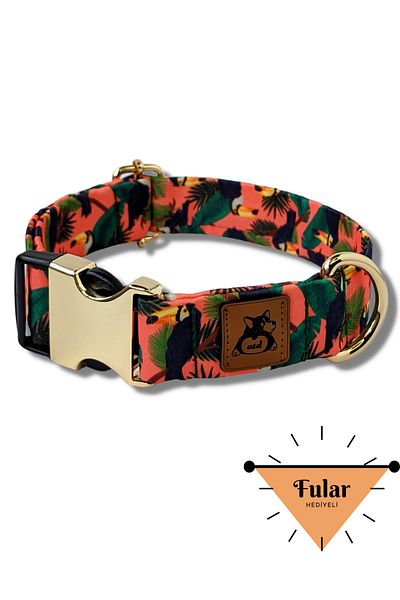 UTDpet Toucan Dog Collar