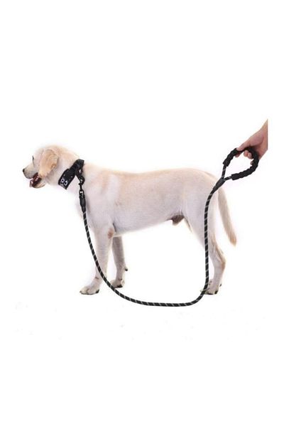 Dream Plus Black Reflective Walking Leash - 130 cm Rope for Medium and Large Dogs