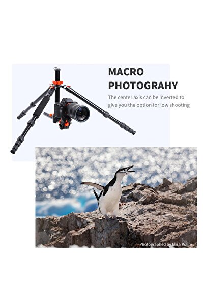 K&F CONCEPT Sa254t2 185cm Alüminyum Kompakt Tripod