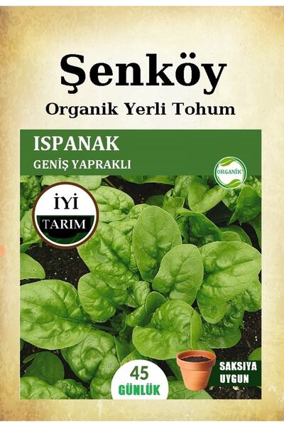 Şenköy Yerli Ispanak Tohumu Doğal Ata Geniş Yaprak Ispanak Tohum 1 Pakette 10...