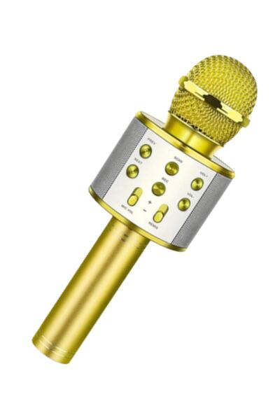 PP Teknoloji Karaoke Mikrofon Bluetooth, Usb, Hafıza Kartı Ve Aux Girişli Ws-858 Pembe