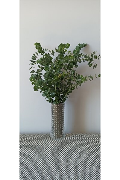 ABS Kuru Çiçek Şoklanmış Okaliptus Demeti Yeşil (50 Cm)