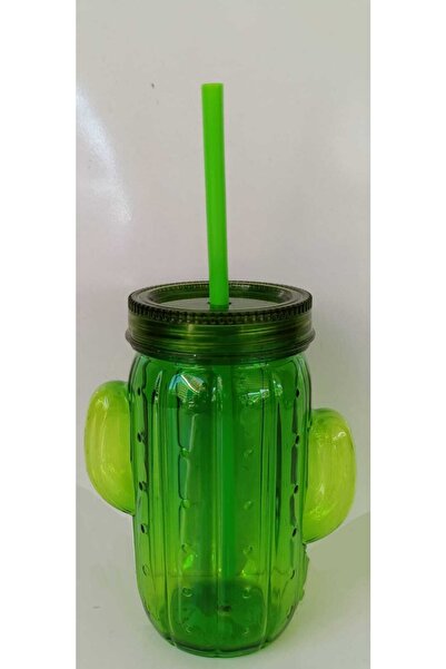 Bİ DÜNYA EV Ak715 Pipetli Bardak Kaktüs