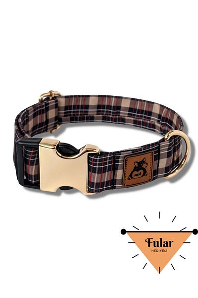 UTDpet Classy Dog Collar