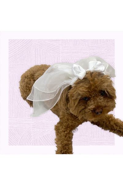 aria pet butik Köpek Kedi Duvak Taç Toka Tütü Gelinlik