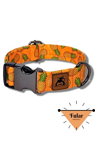 UTDpet Pine Dog Collar