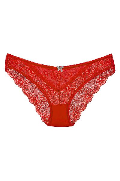 HNX 3-Piece Tulle Front Full Lace Slip Women's Panties