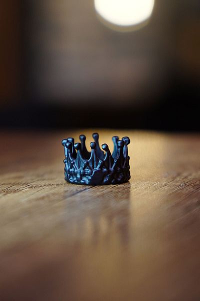 The Collection Adjustable Men's Matte Crown Model Knight Ring