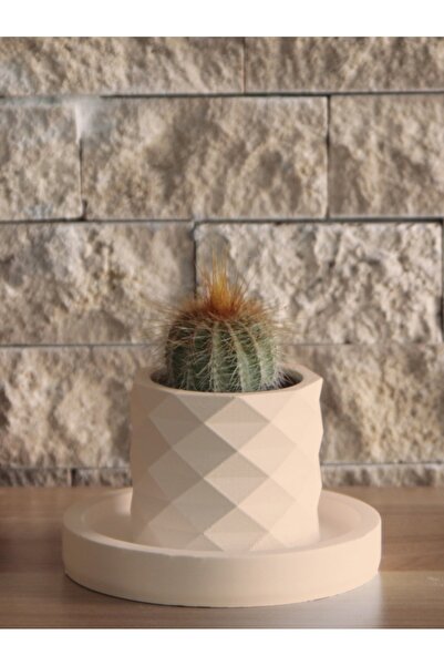 stonnish Dekoratif Mini Prizma Sukulent Saksısı Tabaklı