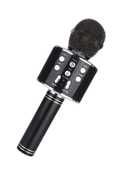 PP Teknoloji Karaoke Mikrofon Bluetooth, Usb, Hafıza Kartı Ve Aux Girişli Ws-858 Pembe