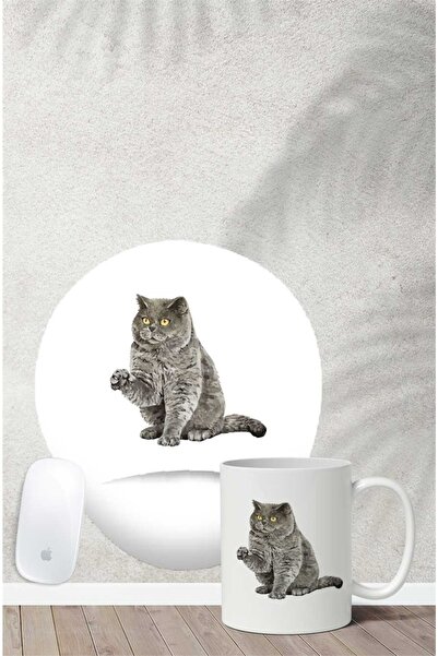 Gizeo Concept Комплект подложки за мишка с шарка на британска късокосместа котка