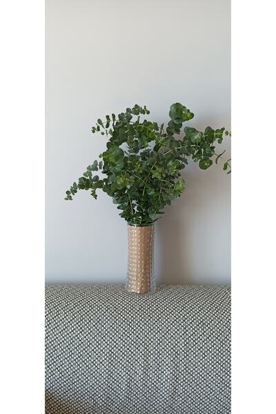 ABS Kuru Çiçek Şoklanmış Okaliptus Demeti Yeşil (50 Cm)