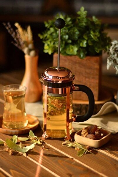OMS Holmes French Press 350 Ml 9130