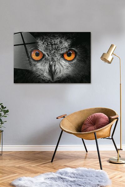 Decorita Animals| Glass Table| Owl - Horizontal View| 40cm X 60cm