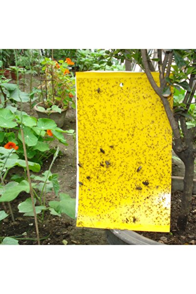 BKS Yellow Sarı Yapışkan Tuzak
