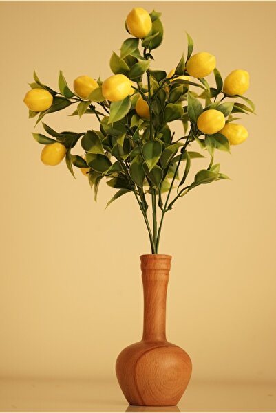 Decorative Wooden Vase And Lemon Tree