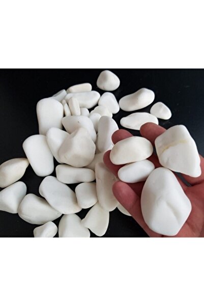 Genel Markalar Beyaz Taş 3 Kg 2-4 Cm Beyaz Dolomit Taş Dere Taşı Çakıl Taşı Bahçe Süs Akvaryum Teraryum 20no.4-5