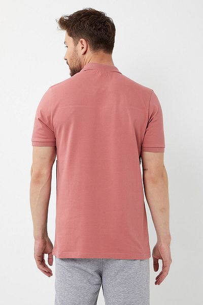 AMAZING CRASH Ανδρικό μπλουζάκι Polo Neck Three Colors Slim Fit