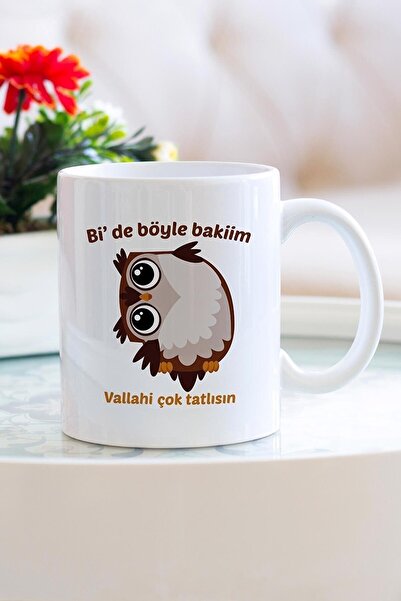 Öz Kupa Sevimli Baykuş Çok Tatlısın Porselen Kupa Bardak