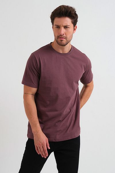CLIPMAN Slim Fit Round Neck Basic T-shirt Plum