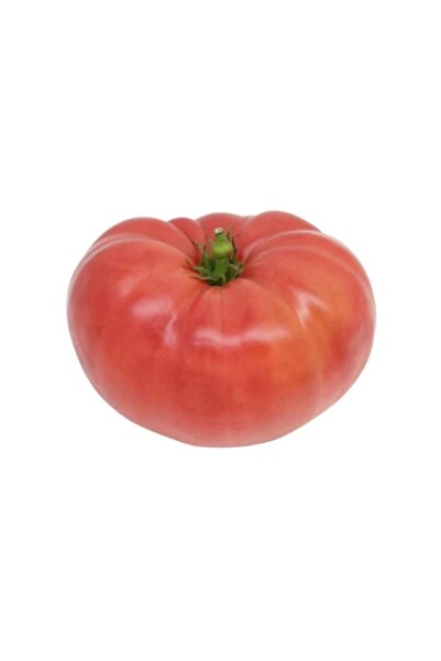 Tohum Dünyam Meşhur Ankara Ayaş Domates Tohumu 20 Adet Tohum Ayaş Domatesi To...