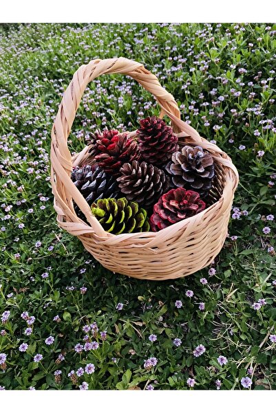 Sincap bebe Yılbası Konseptli Boyanmış 10’lu Dekoratif Kozalak Dekor Kozalakl...