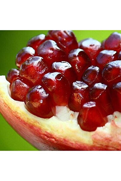 mutbirlik Tüplü Nadir Çeşit Wonderful Nar Fidesi (sınırlı Sayıda)-5adet-