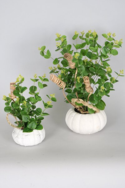 Yapay Çiçek Deposu نبات الأوكالبتوس الاصطناعي في وعاء اليقطين الخرساني، مجموع...