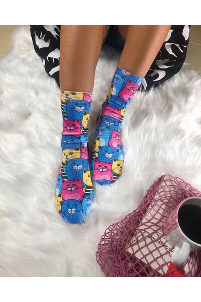 Ogobongo Renkli Kediler Soket Çorap