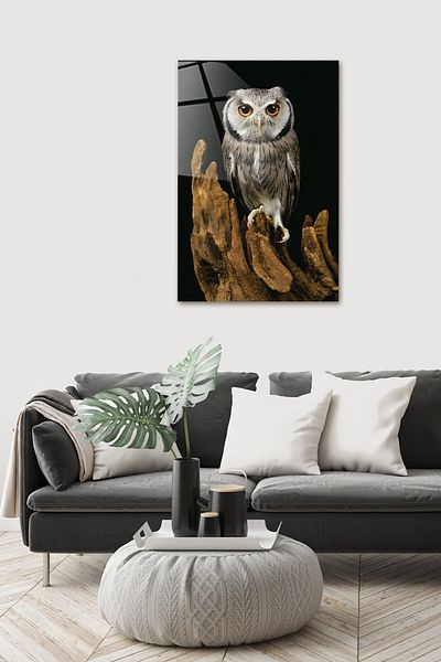 Decorita Animals| Glass Table| Owl - Vertical View| 40cm X 60cm