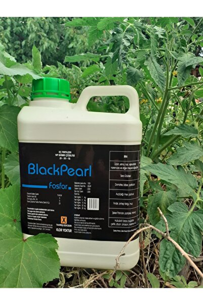 BLACK PEARL Blackpearl Fosfor