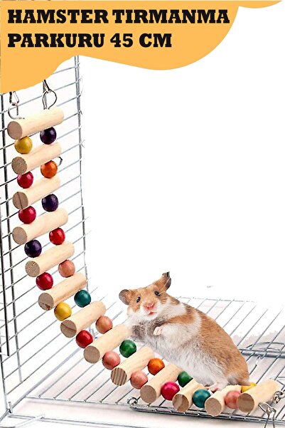 PAMEPAW Hamster Tırmanma Parkuru 45 Cm