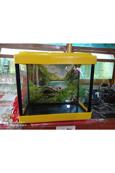 ikizlerakvaryum Akvaryum 22.5cm Sarı