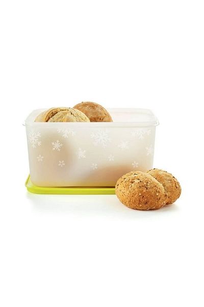 Tupperware Alaska 2.5 Lt Storage Container