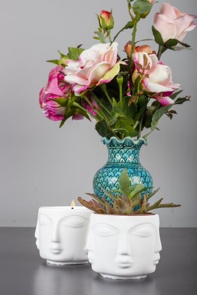 ESS Candles & Decoration Adler Yüz Sukulent Kaktüs Saksı Mumluk Beyaz (3 ADET)