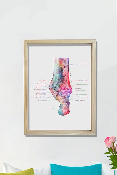 Dekor Loft Tablou medical Tablou de perete pentru camera medicului